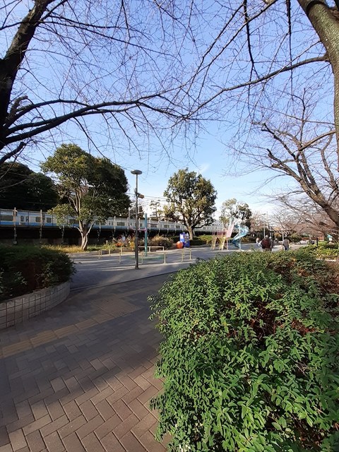 公園　大井水神公園（公園）まで50m