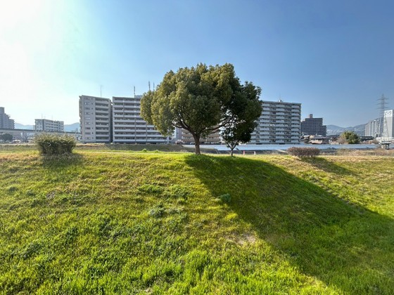 眺望　※別部屋の写真です