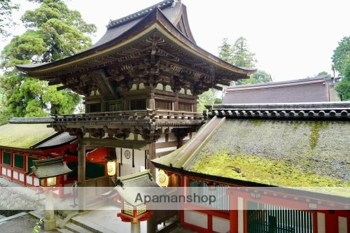 その他　【寺院・神社】石上神宮（その他）まで739m