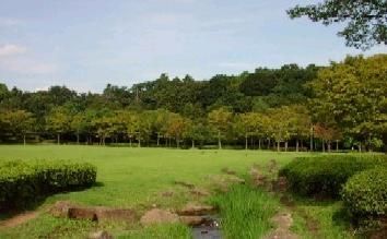 その他　２１世紀の森の広場（その他）まで1880m