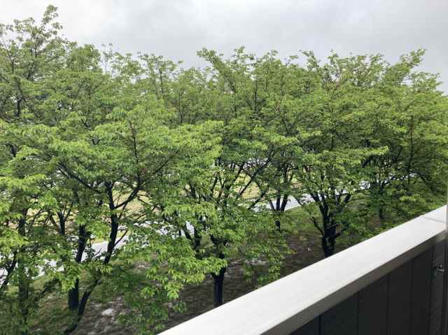 眺望