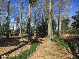 公園　大牧自然緑地（公園）まで764m