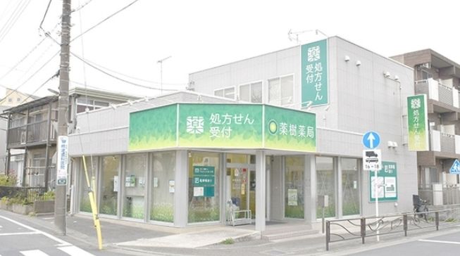 ドラックストア　薬樹薬局/梶ヶ谷（ドラッグストア）まで580m
