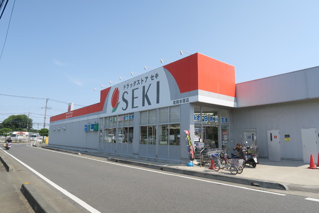 ドラックストア　ドラッグストアセキ岩槻本宿店（ドラッグストア）まで350m
