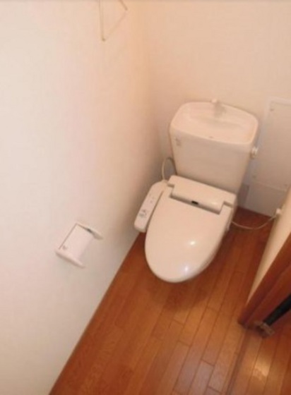 トイレ　他号室の写真です。