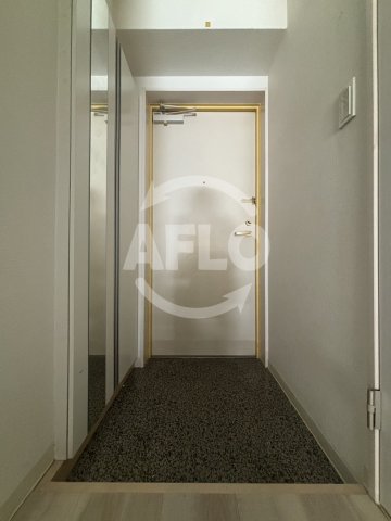 玄関　アルビオン西梅田　玄関