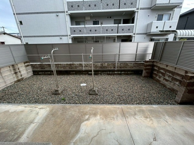 庭