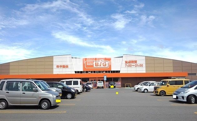 スーパー　ザ・ビック酒田北店（スーパー）まで1089m