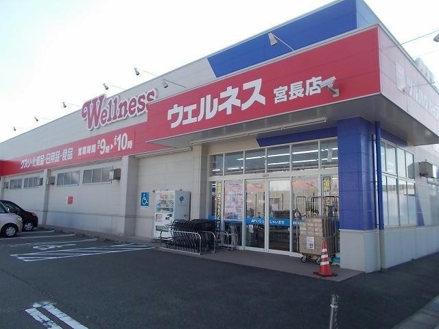 ドラックストア　ドラッグストアウェルネス宮長店（ドラッグストア）まで343m