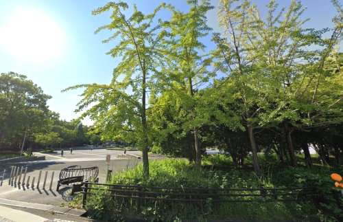 公園　服部緑地（公園）まで1572m