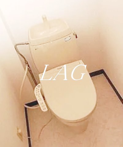 トイレ　トイレです。（同仕様です。）