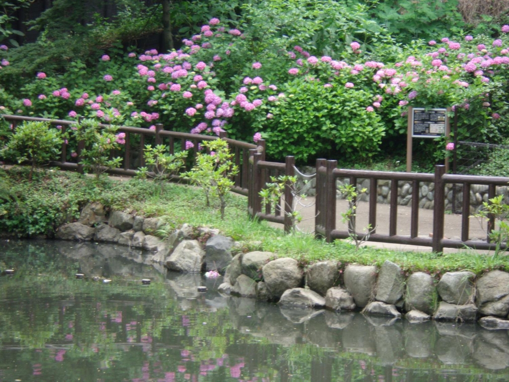 公園　六本杉公園(東京の名湧水57選)（公園）まで284m