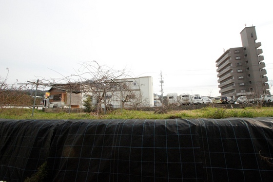 眺望　※別部屋の写真です