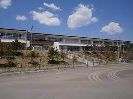 小学校　草津市立草津小学校（小学校）まで917m