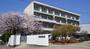 小学校　松山市立清水小学校（小学校）まで878m