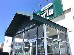 スーパー　セリア 新潟大学前店（スーパー）まで969m