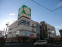 スーパー　ライフ巽店（スーパー）まで320m
