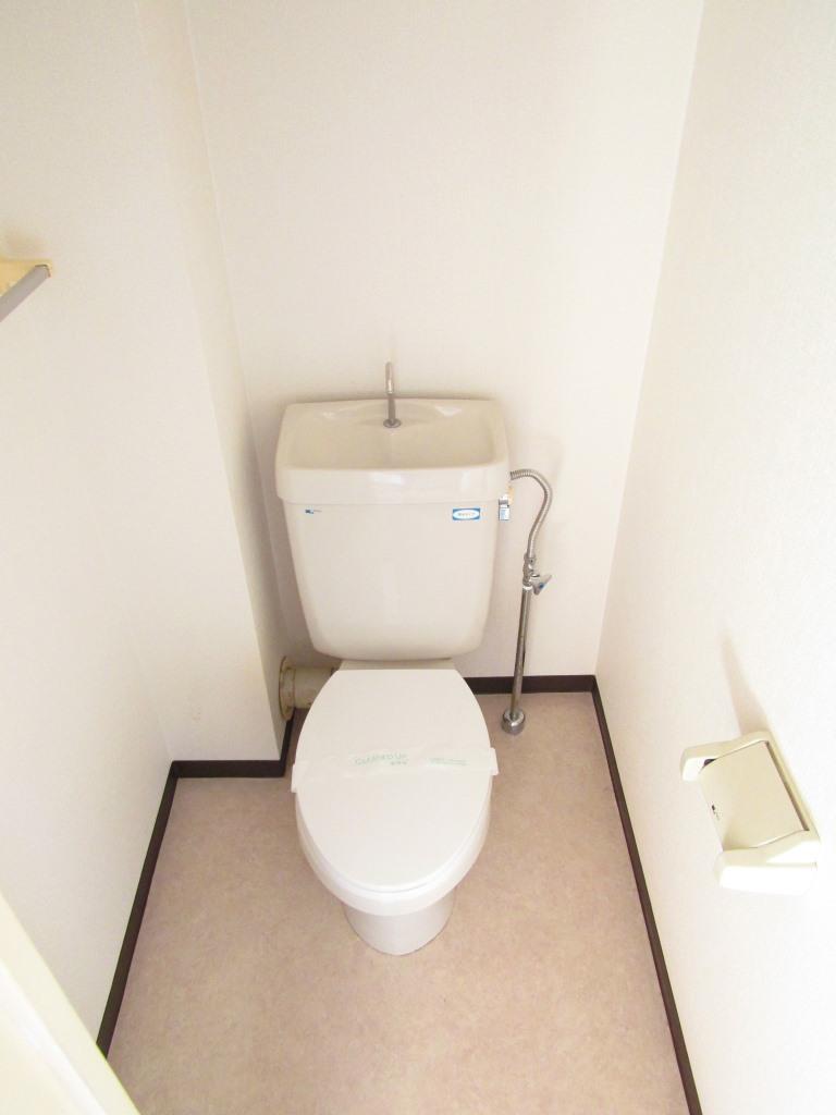 田園コートエレガンスDのトイレ写真