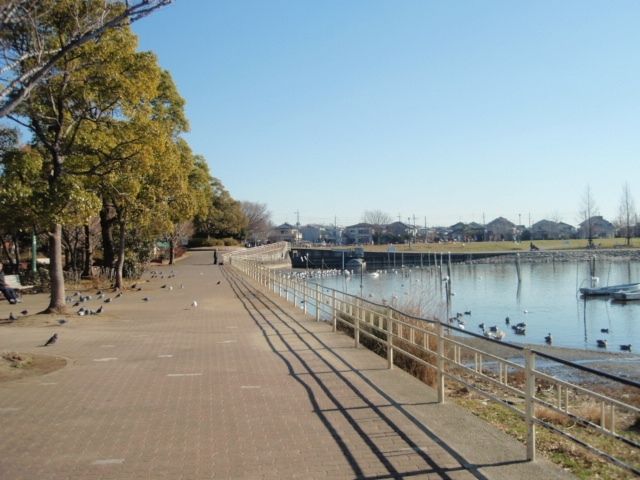 公園　手賀沼公園（公園）まで2890m