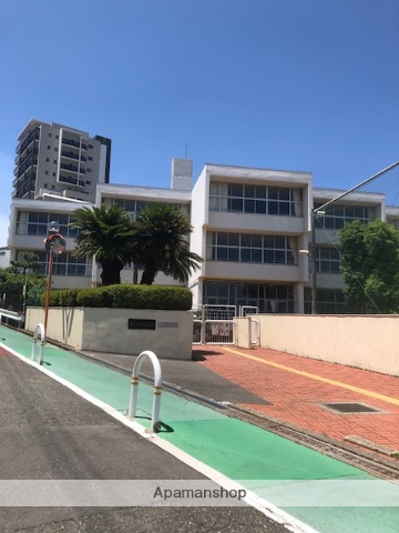 小学校　新田小学校（小学校）まで297m