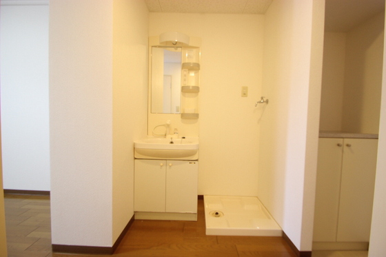 洗面設備　※別号室の写真になります。