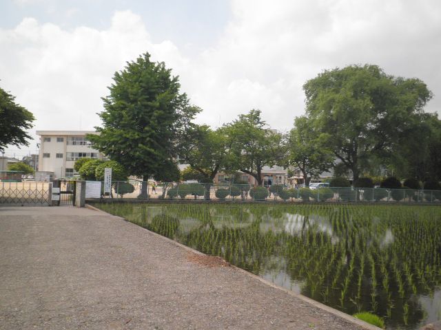 小学校　石井小学校（小学校）まで1445m