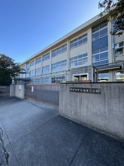 小学校　加古川市立鳩里小学校（小学校）まで1124m