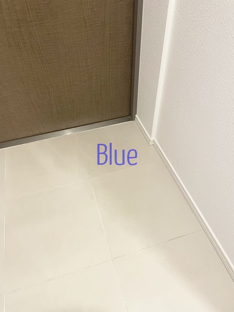 玄関　同じ仕様