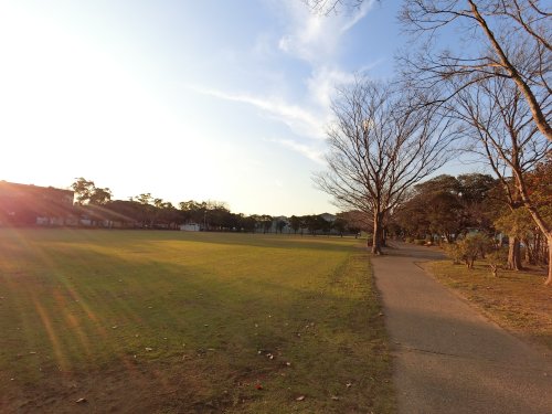 公園　潮見公園（公園）まで654m