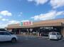 スーパー　エコス 市川島尻店（スーパー）まで729m