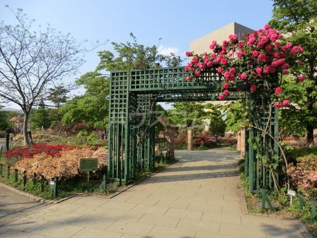 公園　練馬区立平成つつじ公園（公園）まで602m
