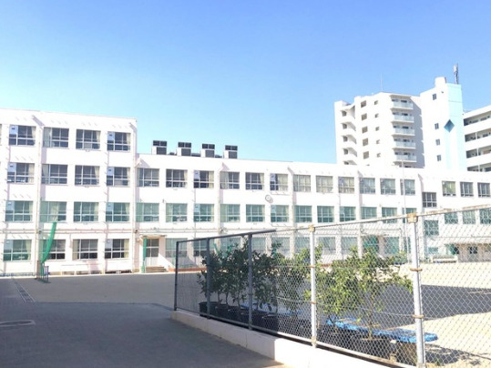 小学校　名古屋市立大和小学校（小学校）まで497m