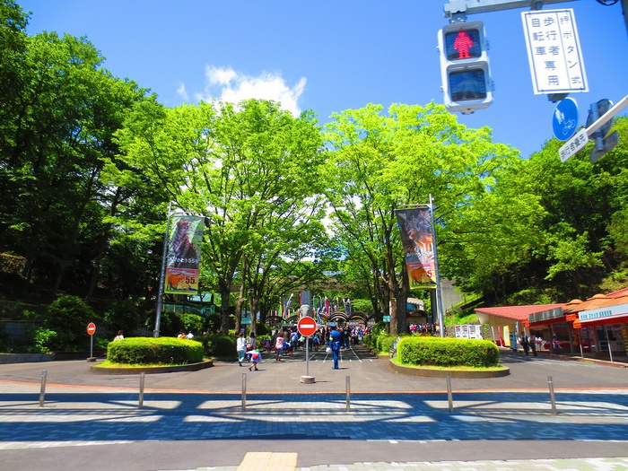 公園　東京都 多摩動物公園（公園）まで682m