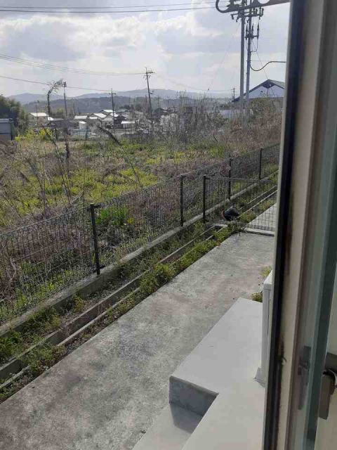 庭