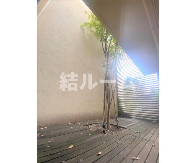 庭