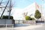 小学校　名古屋市立中島小学校（小学校）まで289m