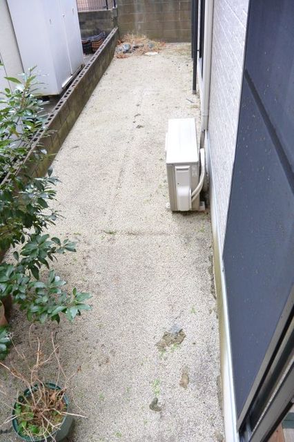 庭