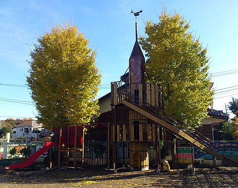 幼稚園・保育園　立川かしの木幼稚園（幼稚園・保育園）まで822m