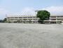 小学校　中央区立有馬小学校（小学校）まで343m