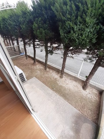 庭　お庭も活用できます