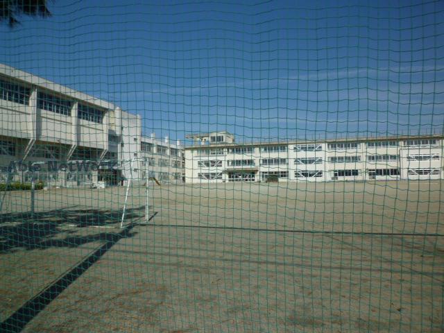 小学校　津市立新町小学校（小学校）まで799m