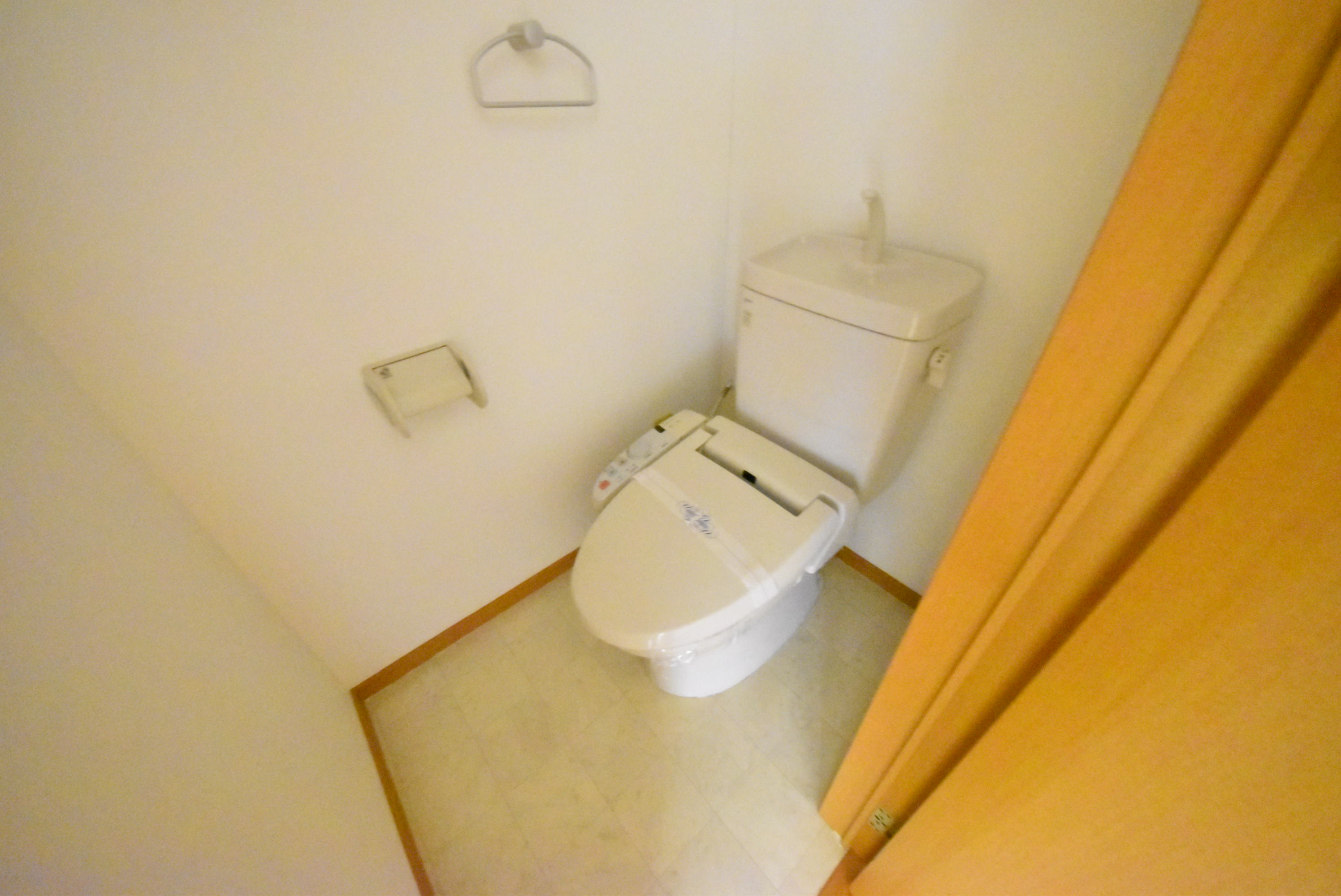 ＪＲ徳島線 徳島駅 徒歩37分 5階建 築19年のトイレ写真