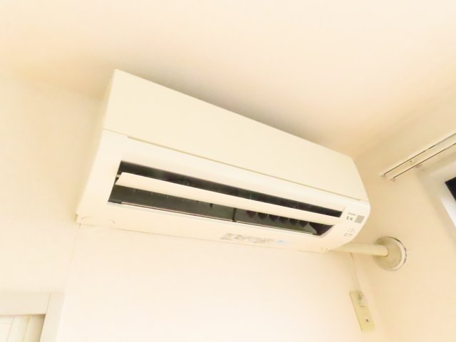 マグノリアのその他写真