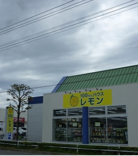 その他　レモン（その他）まで500m
