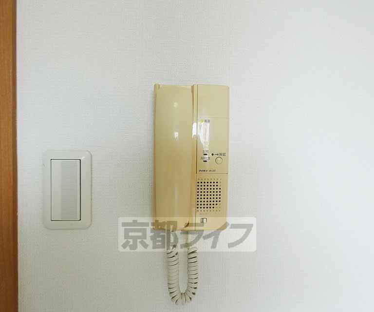 timur九条のその他写真