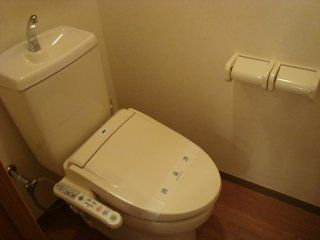 東武伊勢崎線 羽生駅 徒歩14分 2階建 築19年のトイレ写真