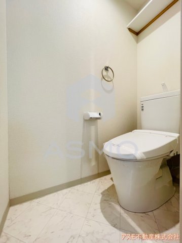 セゾンラトゥールMIYAKOJIMAのトイレ写真