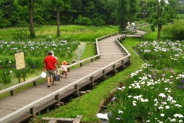 公園　神代植物公園（公園）まで89m