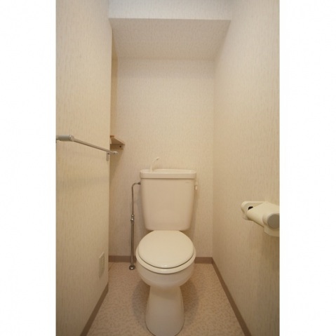 ラフィネ込山のトイレ写真
