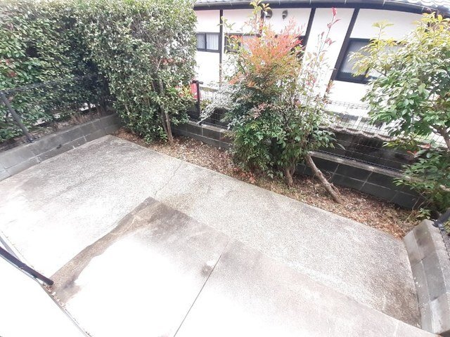 庭